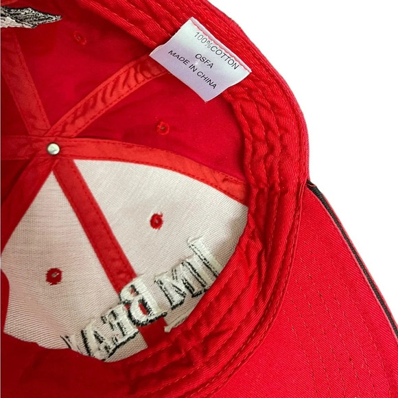 JIM BEAM RACING Robby Gordon Motorsports #7 Hat StrapBack Red NASCAR Embroidered - Picture 4 of 10